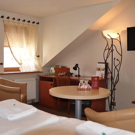 Hotel Roudna 3*