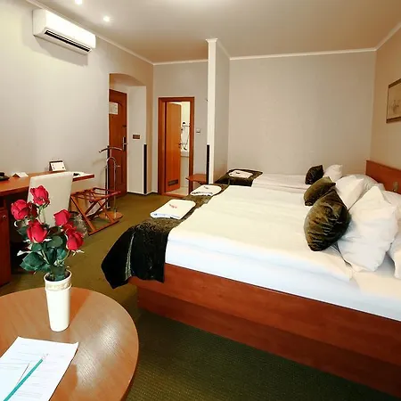 Roudna Hotel 3*