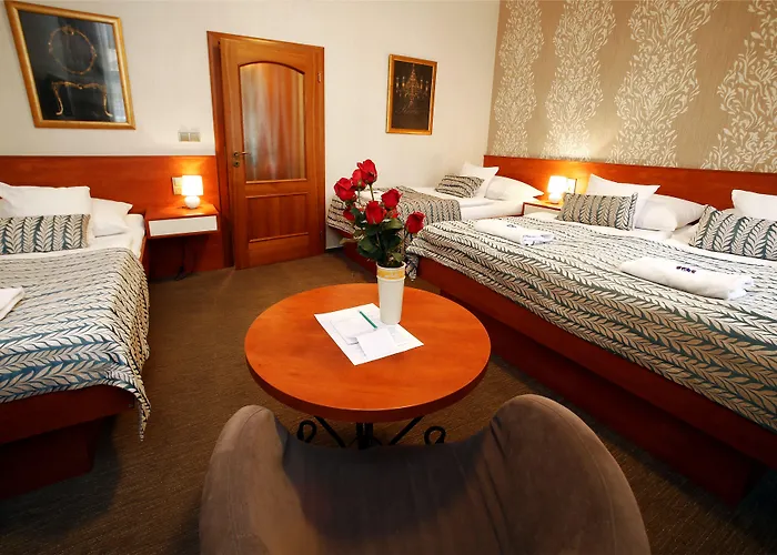 ホテル ラウドナ 3*